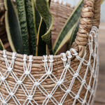 Detail van de Bumi Mand met bananenvezel vlechtwerk en wit patroon, gebruikt als plantenmand met sanseveria.