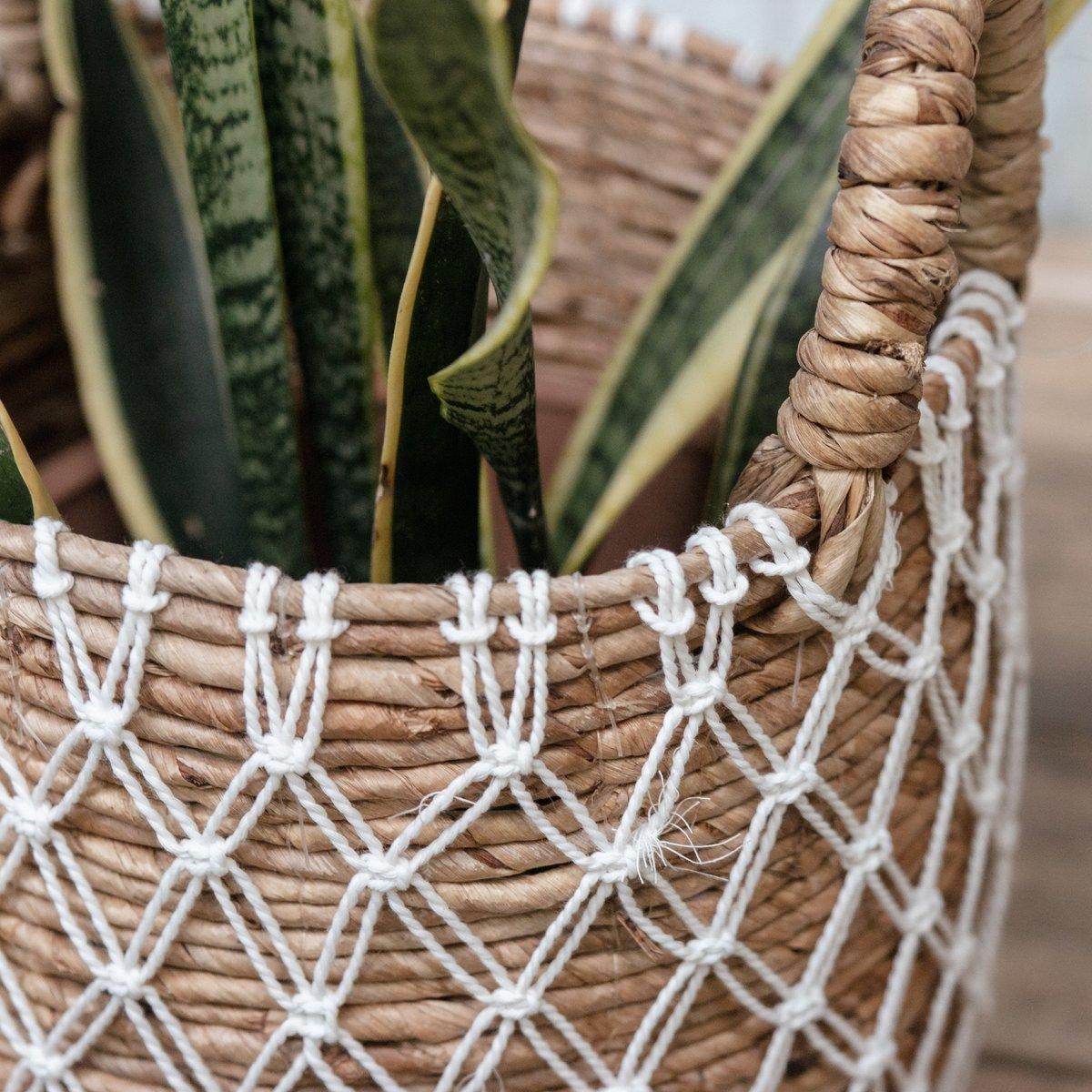 Detail van de Bumi Mand met bananenvezel vlechtwerk en wit patroon, gebruikt als plantenmand met sanseveria.