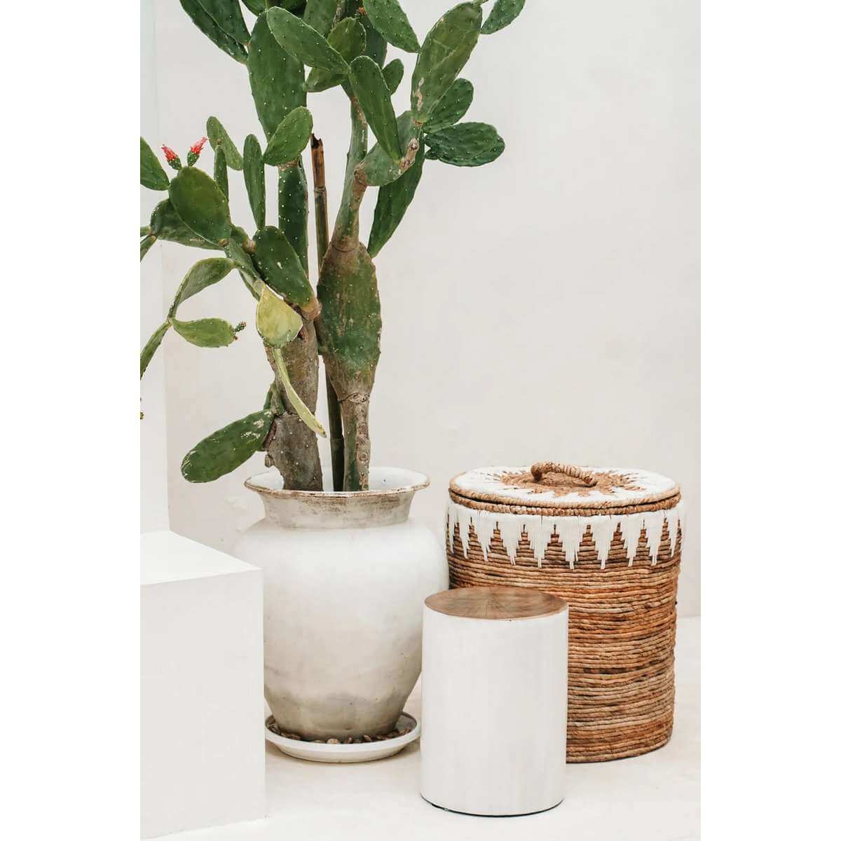 Laya mand naast witte vaas met cactus en houten krukje in natuurlijk interieur